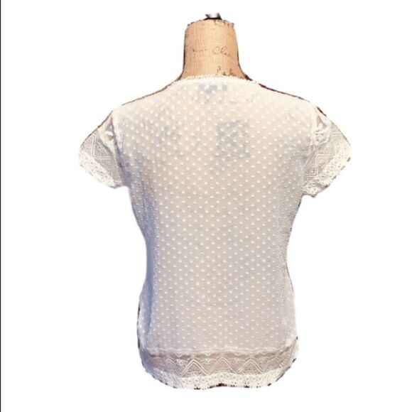 The Limited lace top size S - Picture 2 of 3